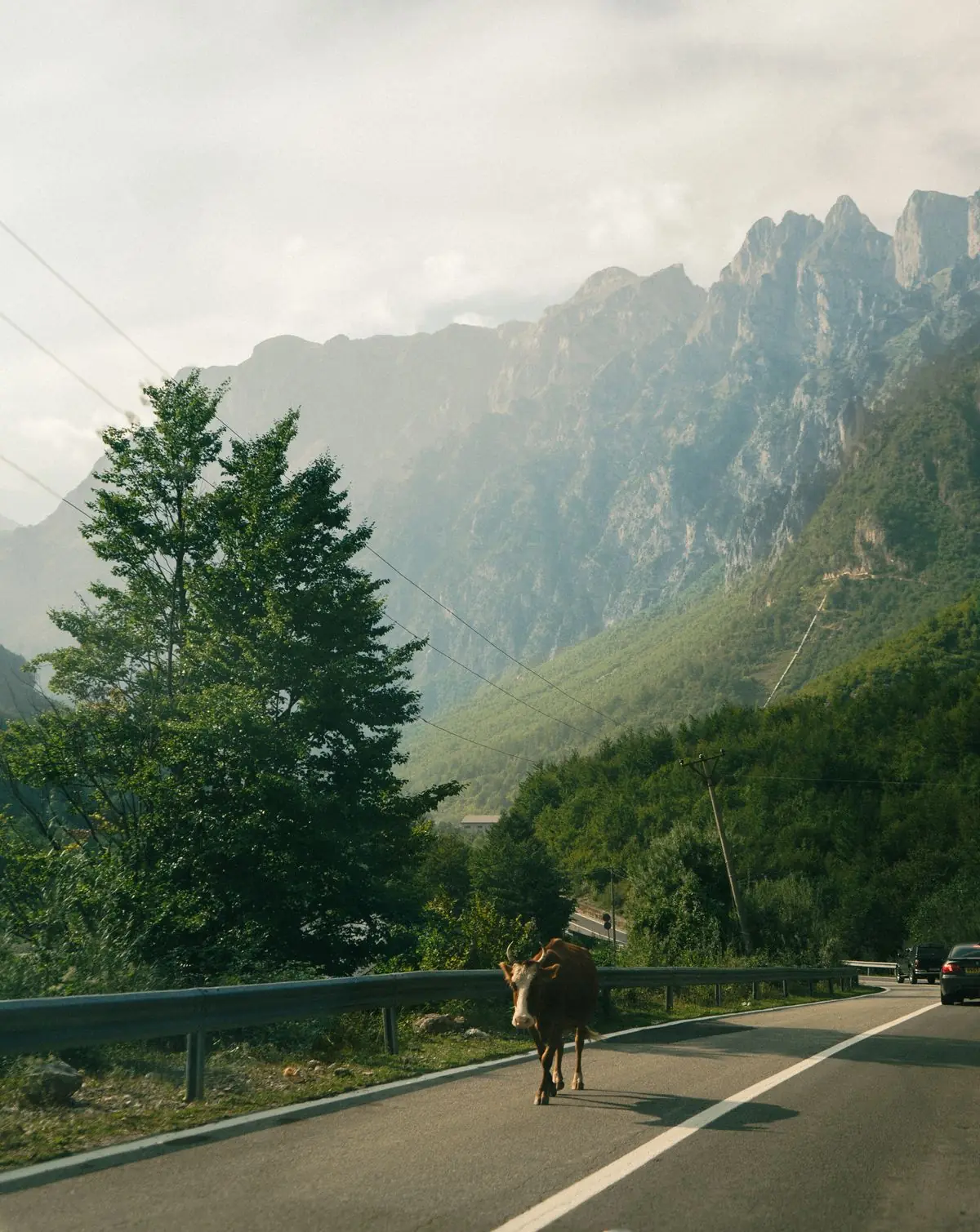 A winding mountain road through the Valbona valley in the Albanian Alps